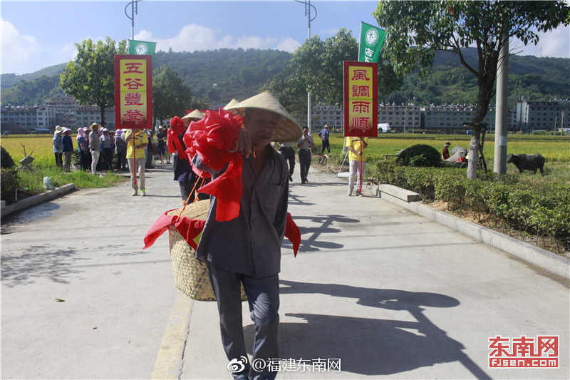 夫妻黄色网站