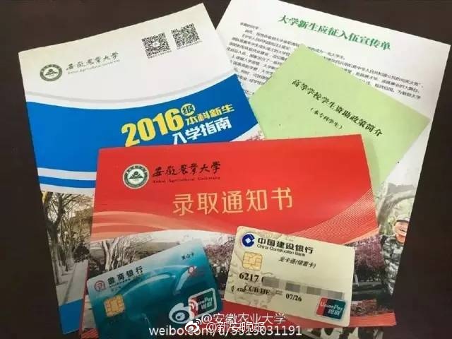 亚洲成熟女人毛毛耸耸多