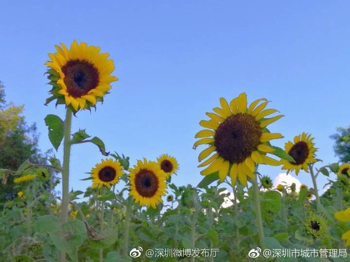 亚洲精品久久久久久久久豆丁网