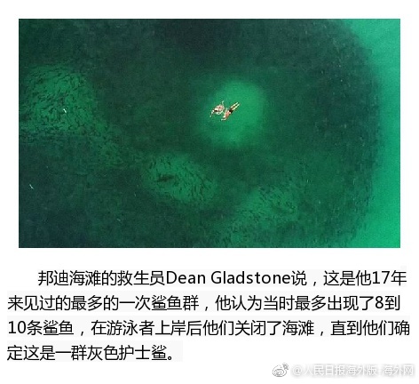 今天高清免费Av播放