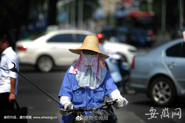 辣文小说