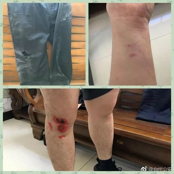 影音先锋直接看的黄色网站