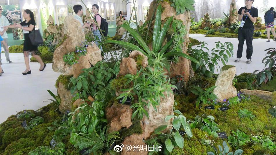 亚洲 成人 小说 校园 激情