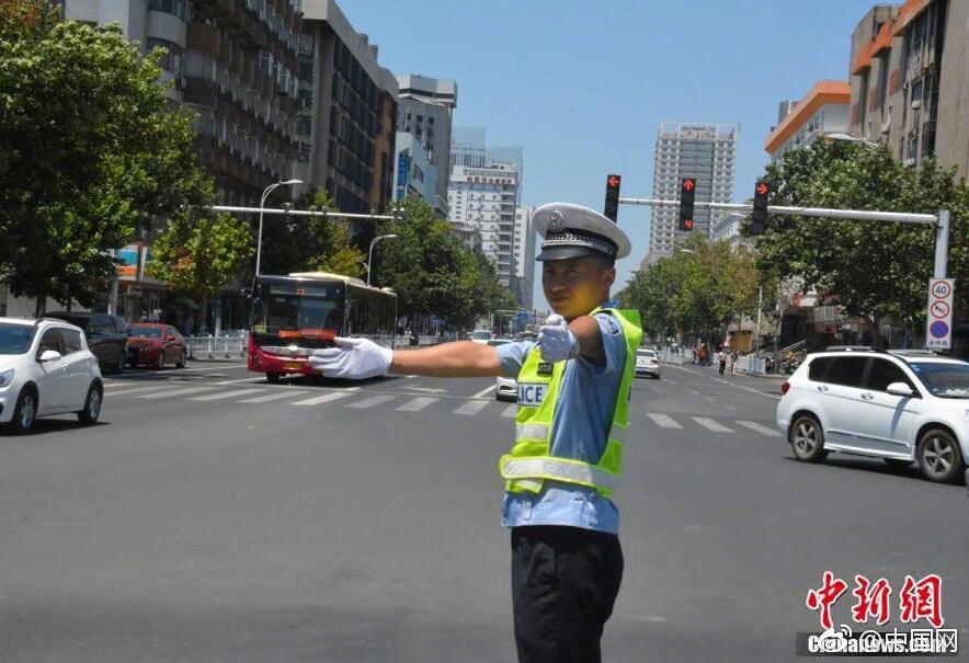 欧美熟妇毛多