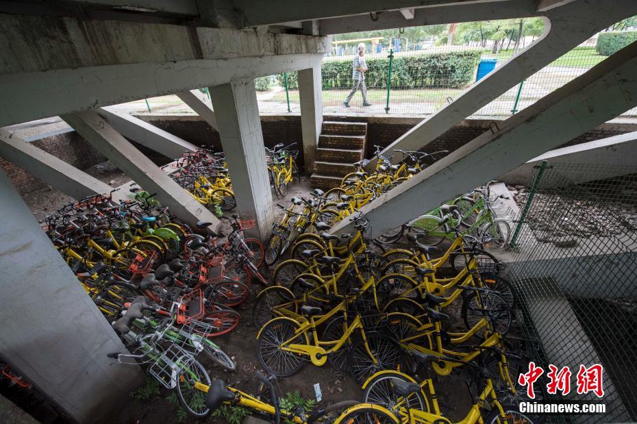 下载成黄色免费网站