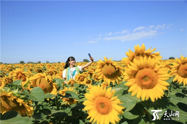 老师的两个大馒头叫什么