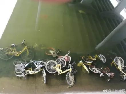 免费黄色毛片