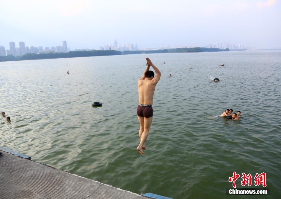 直接看的黄色视频