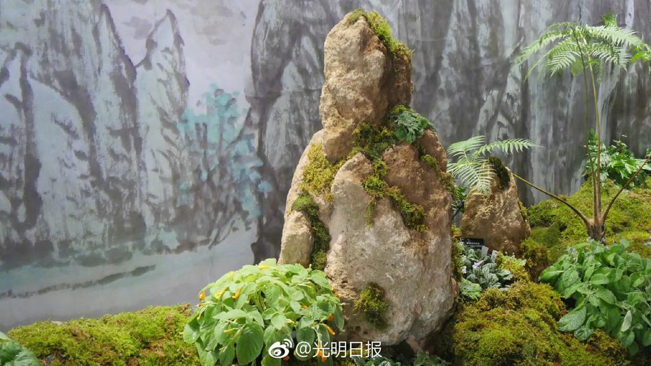 电动炮机直播自慰