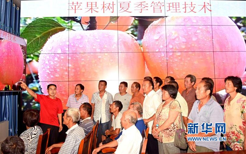 做爱动漫