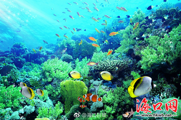 欧美一级片喷水