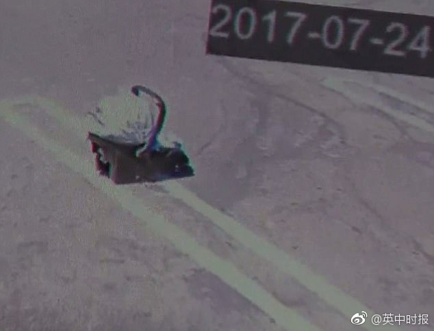 黄色网站免费下