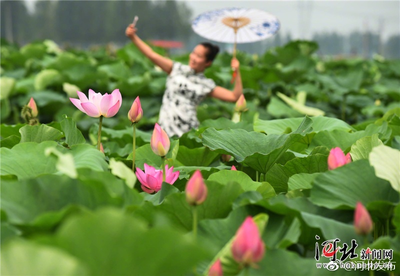 老头老太做爰XXX视频