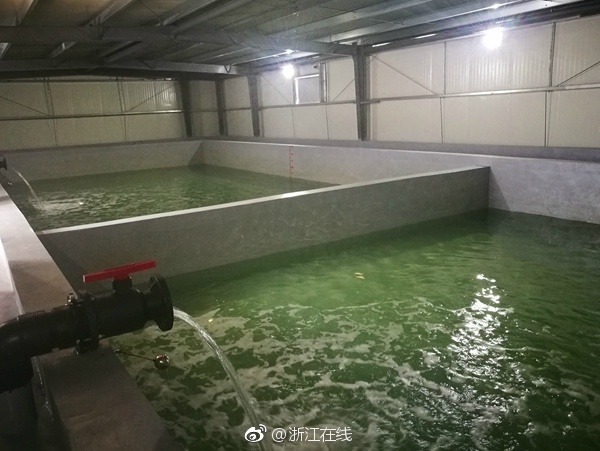 性感少妇黄片