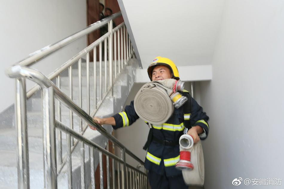 最新黄色网站在线下载