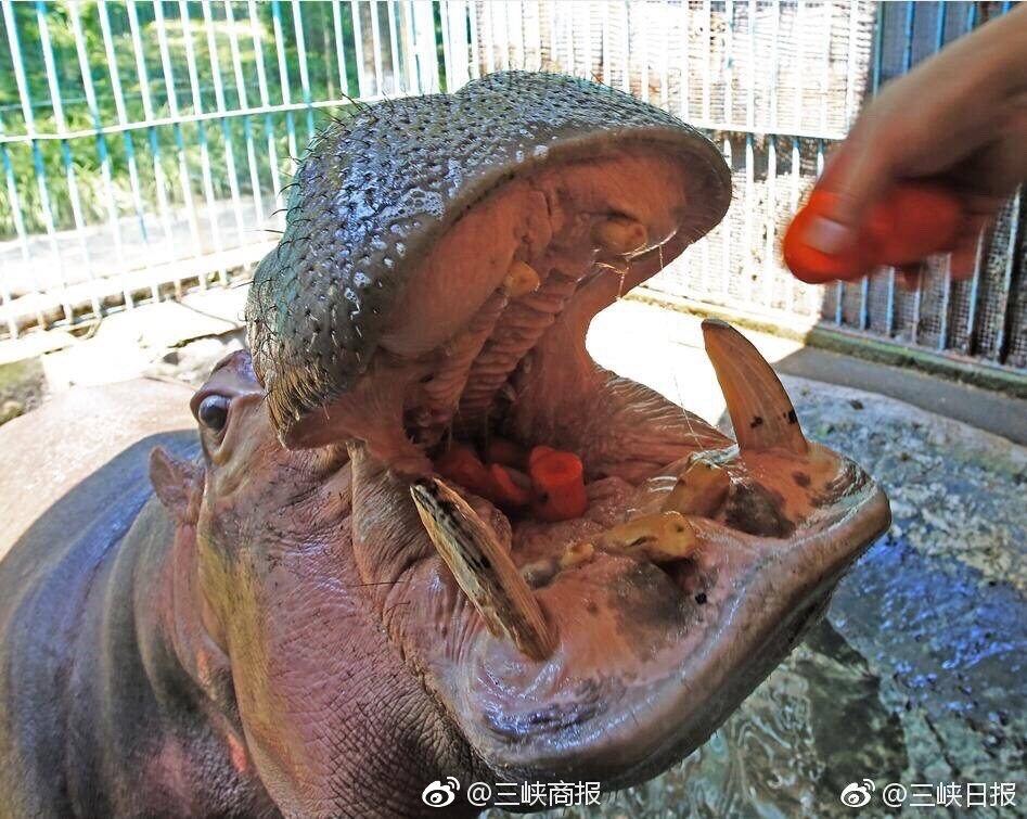 Xxxx免费黄色