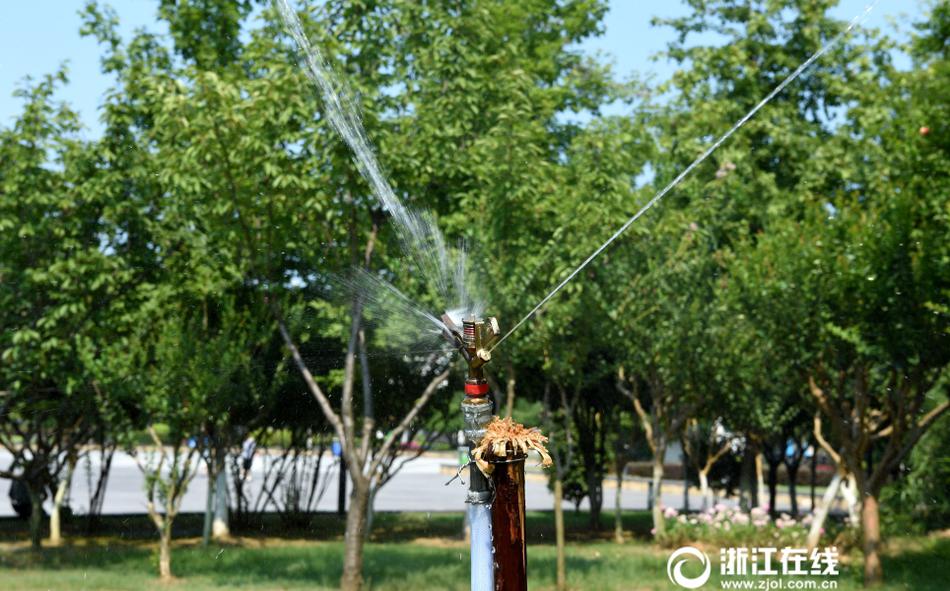 黄色片毛片