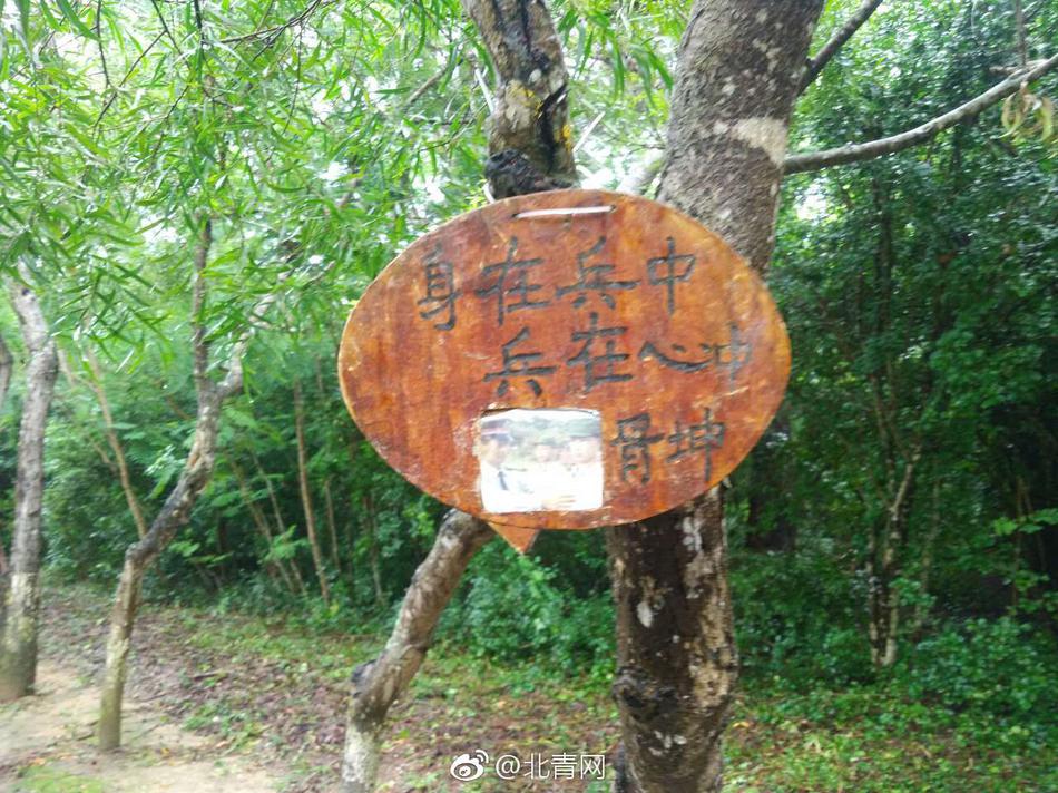 国产免费叼嘿网站免费