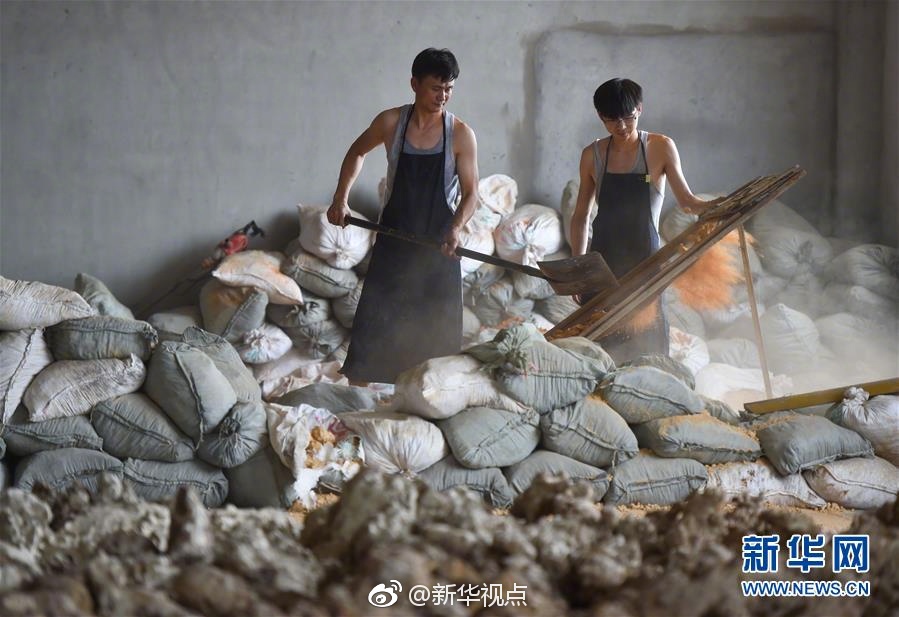 fi11cnn实验室免费入口(2023)已更新人民网出文