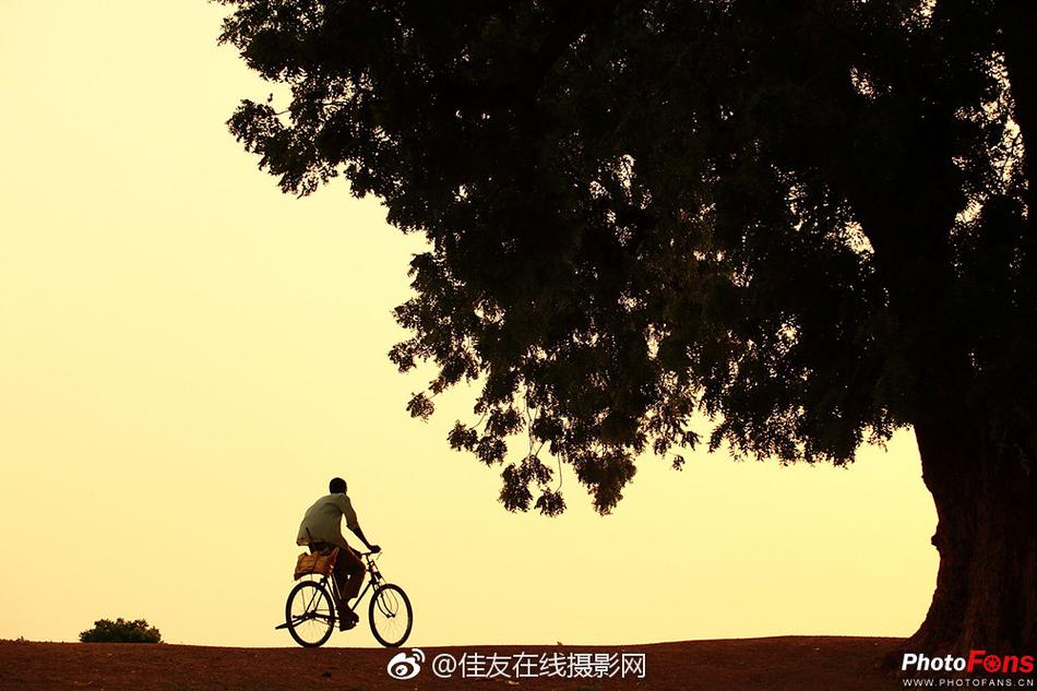 自拍偷拍网