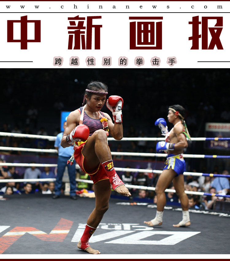 操你了高清无码