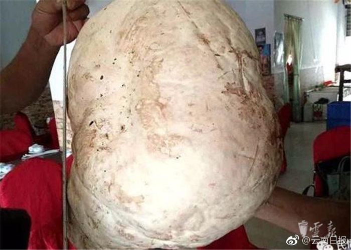 久久久免费
