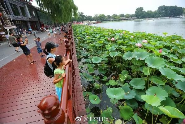 国产又粗又硬又长又爽