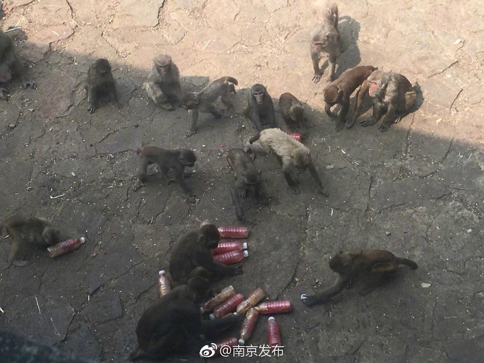 美国老妇女七八十岁的逼毛多的视频