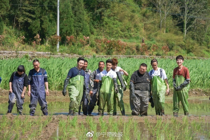 黄色网站区二