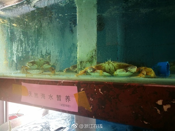 丝袜凉鞋