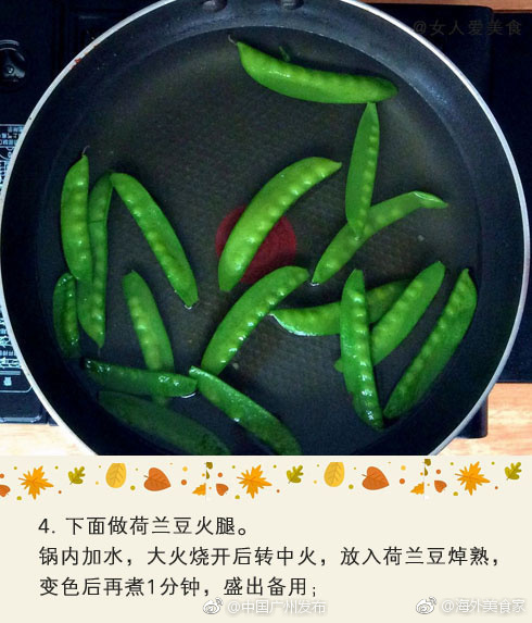 黄色视频录像免费网站