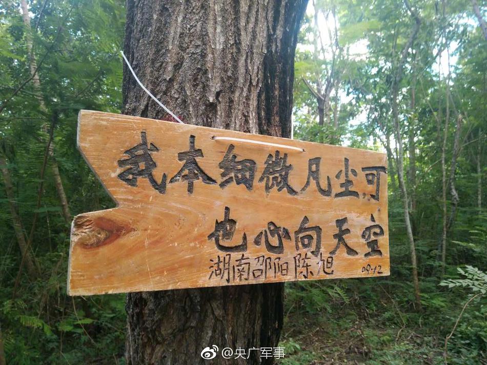 大陆三级孕交片
