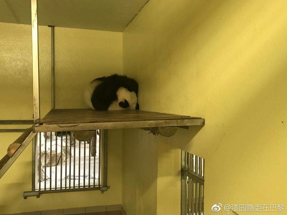 91天堂