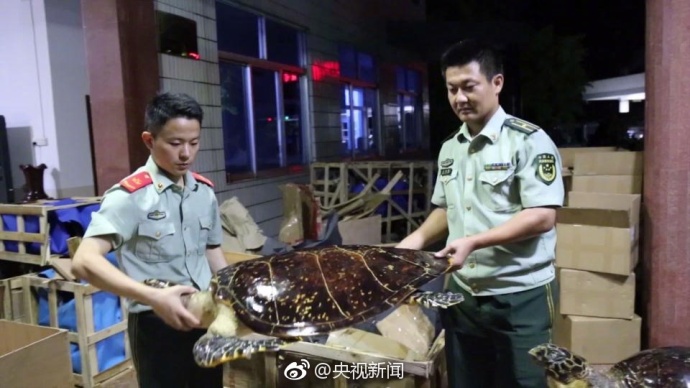 欧美精品伦理一区