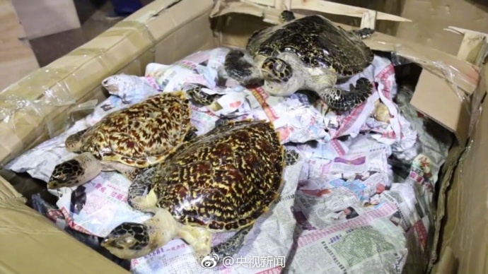 水野朝阳连续中出无码