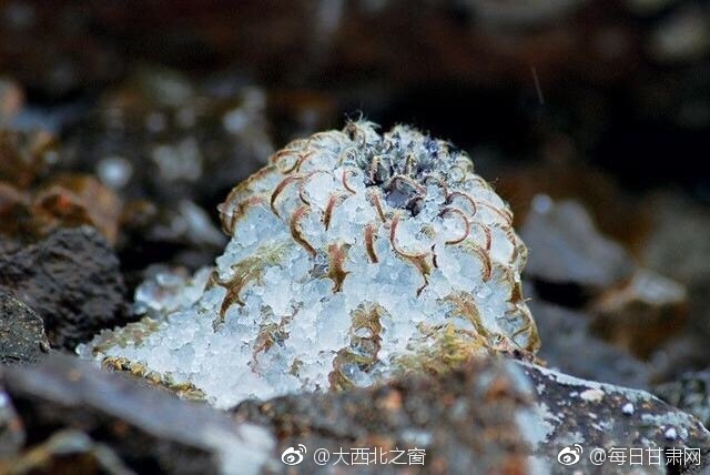 性虐