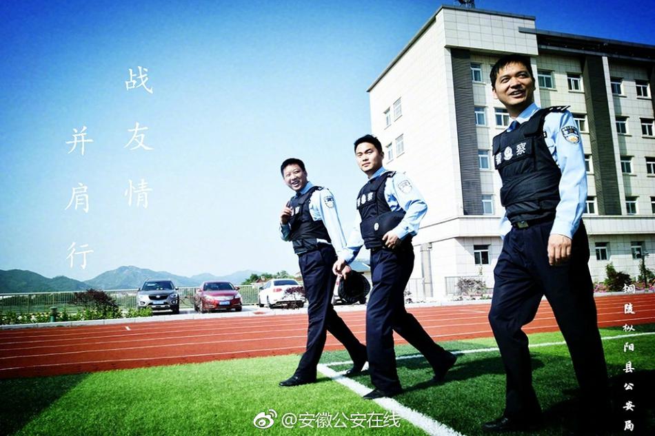 波多野吉衣一区