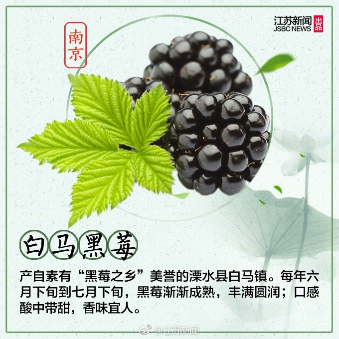 家庭 做爱