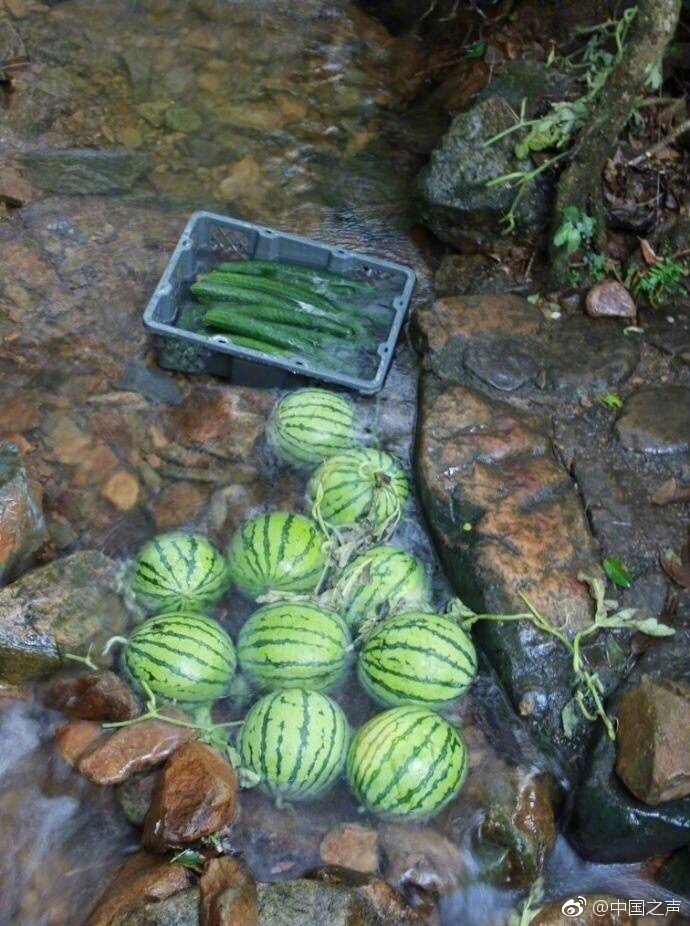 日本游泳