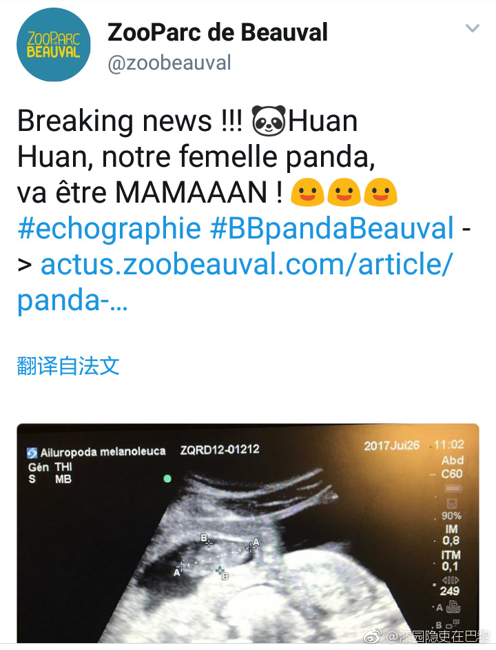 H无码つまつま人妻×人妻