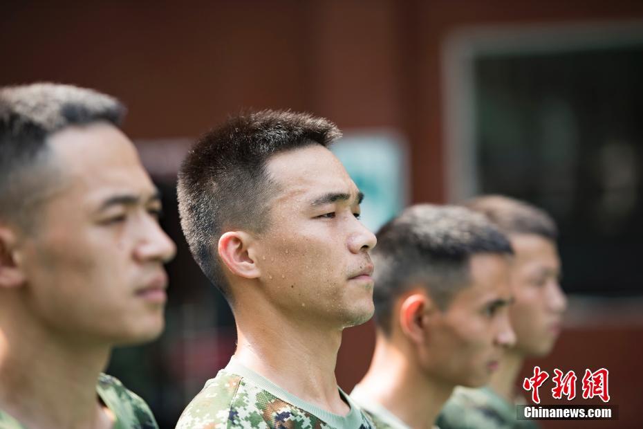 欧美成年人的性生活片