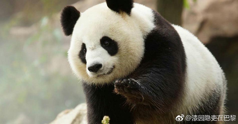 巨乳露出