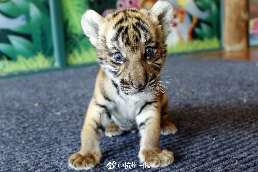 美女健身联盟