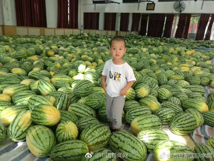 538在线视频