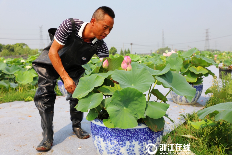 三级片，三级片，三级片！