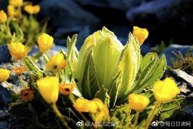 国产在线黄色