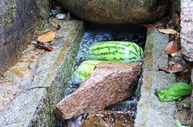黄色网址在线播放