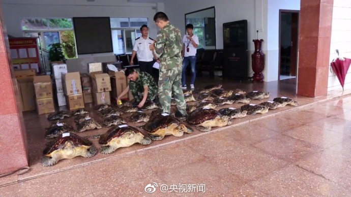 毛阿敏疯狂一级毛片
