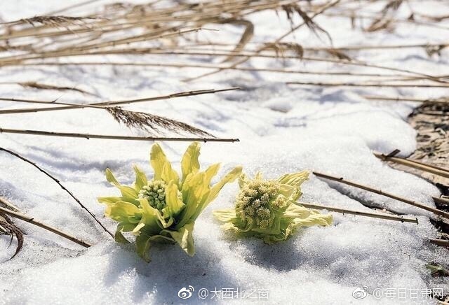 第一次处破女18分钟A片