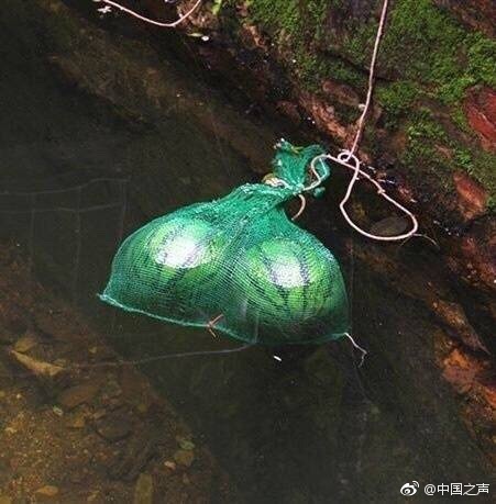 足控脚 Xx免费网站-百度